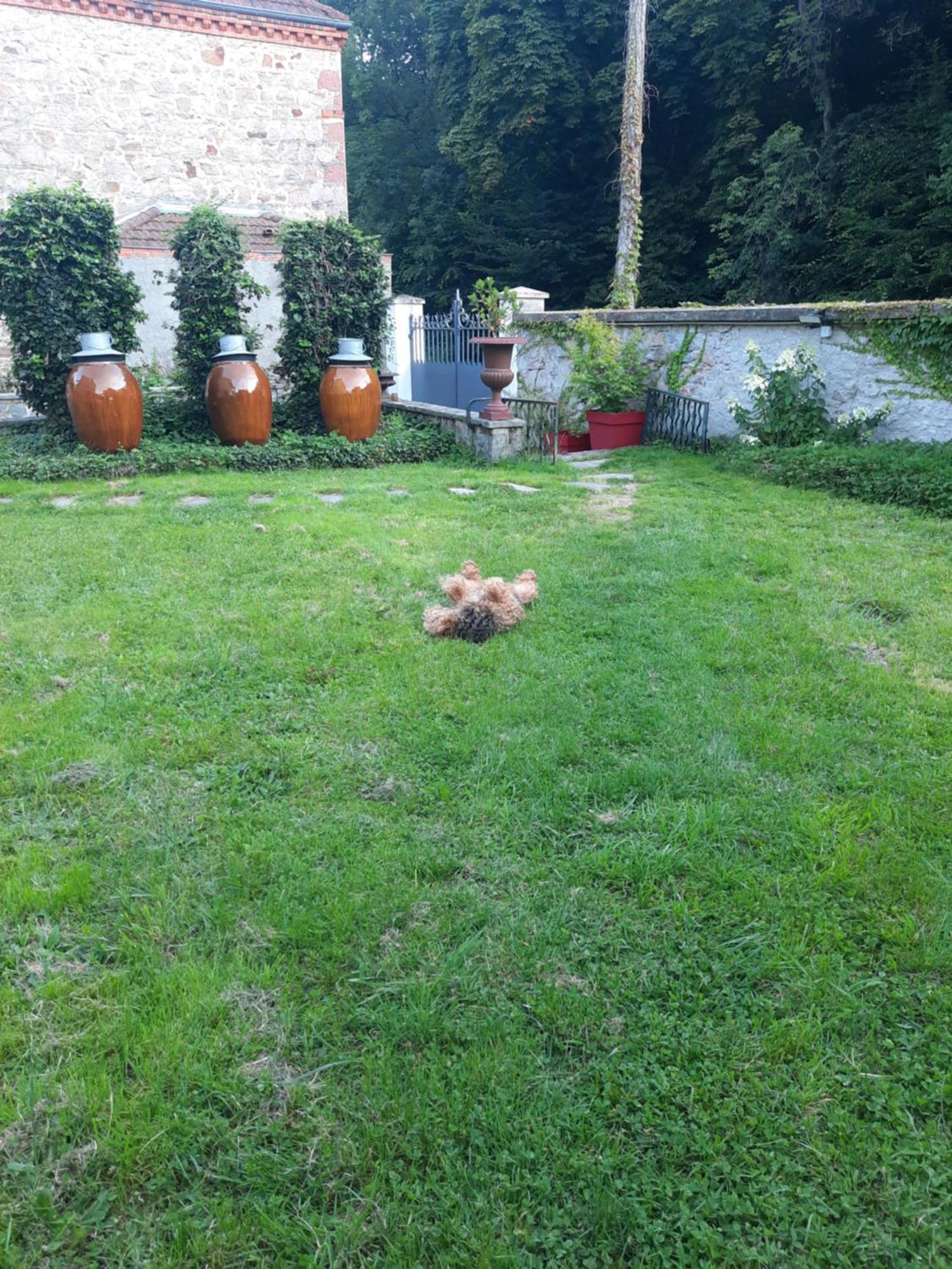 Le Clos Des Soyeux Saint-Victor-sur-Rhins Exterior foto